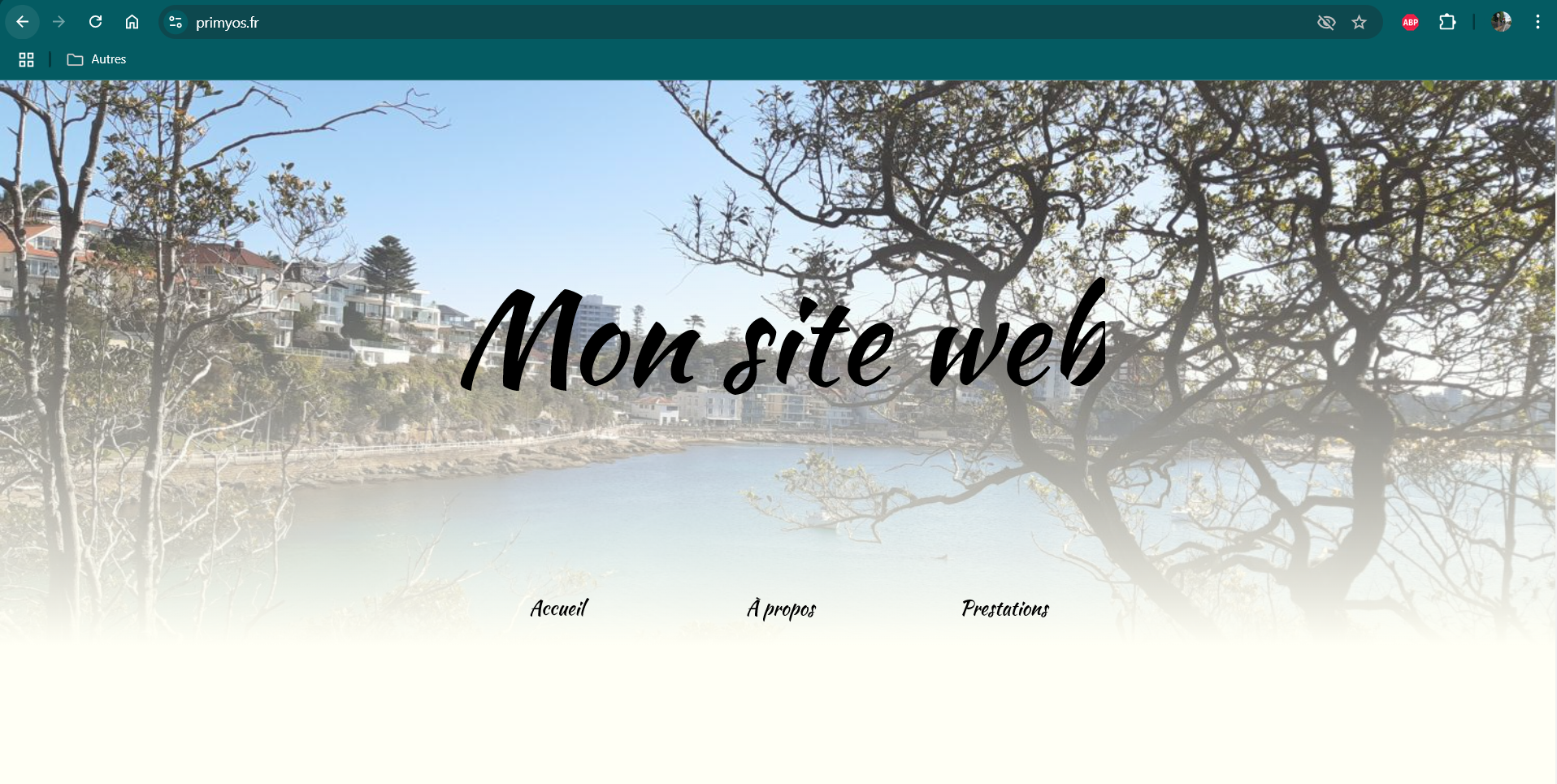 deploy_website(2).png